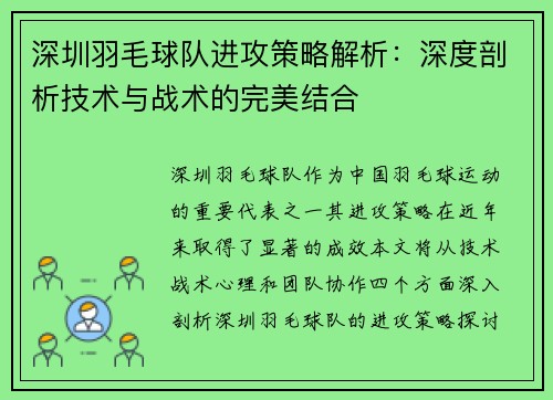 深圳羽毛球队进攻策略解析：深度剖析技术与战术的完美结合