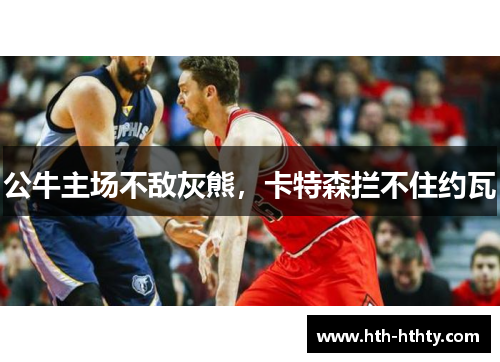 公牛主场不敌灰熊，卡特森拦不住约瓦